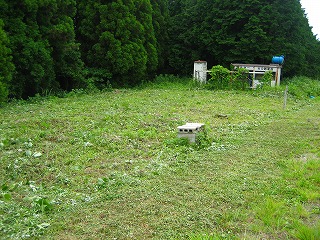e0103719_11221355.jpg