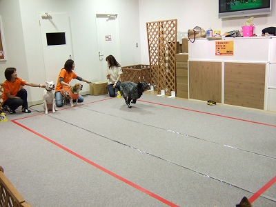 d0023323_0555870.jpg