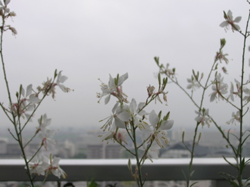 f0128723_17183316.jpg