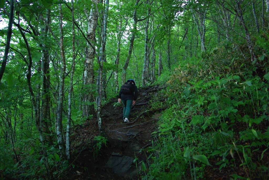 b0062024_20565787.jpg