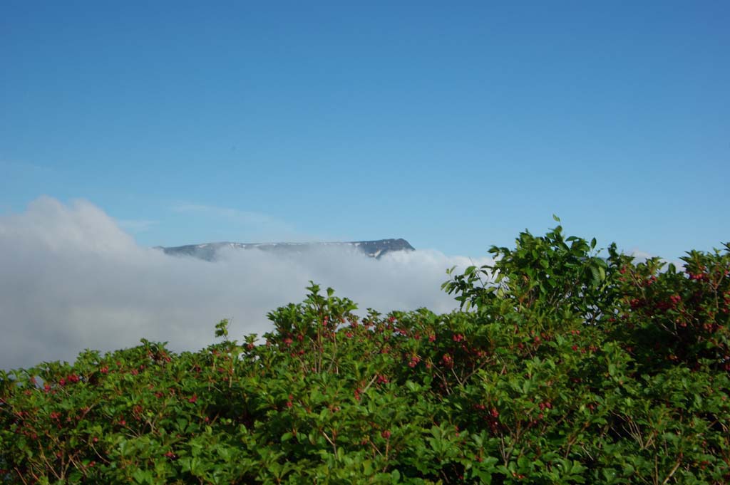 b0062024_21205042.jpg