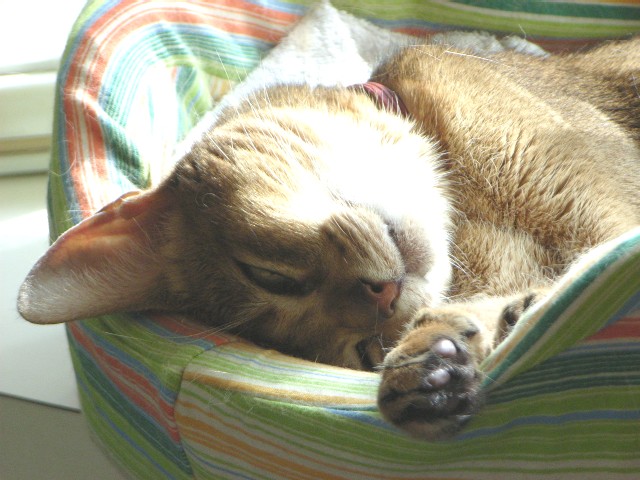 d0081025_20443652.jpg