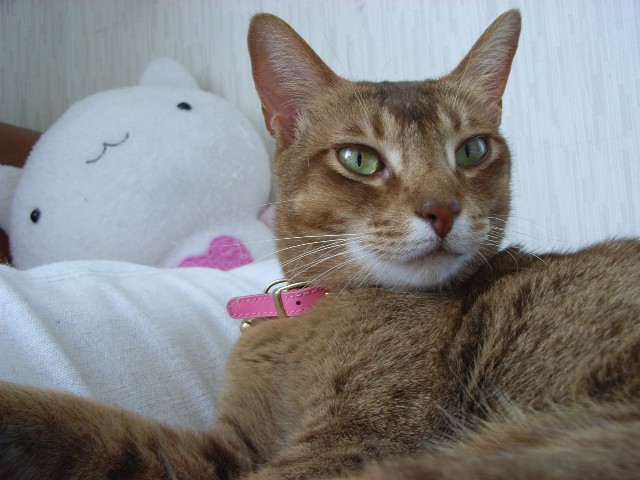 d0081025_213427.jpg