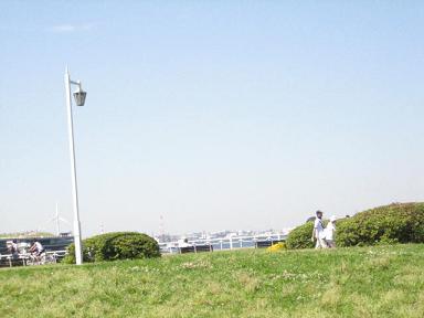 d0115326_8241919.jpg