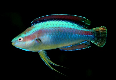 a0099033_21122172.jpg