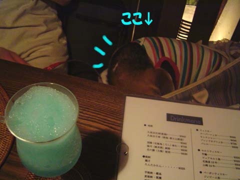 a0042044_231538.jpg