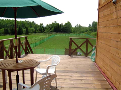a0042044_23463812.jpg