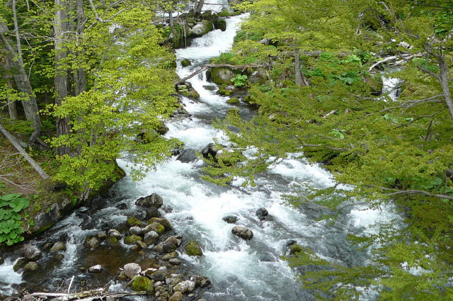 e0039744_940497.jpg