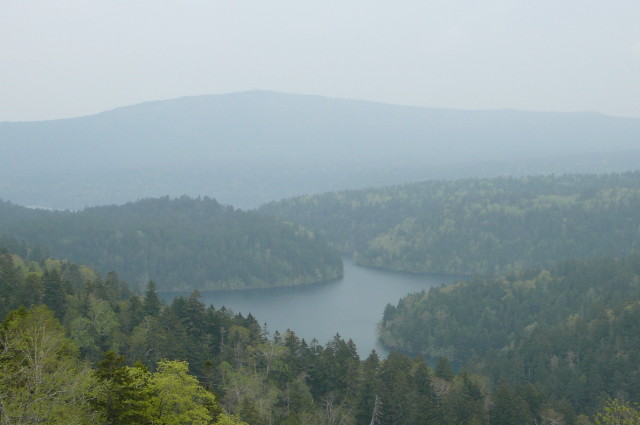 e0039744_9411411.jpg