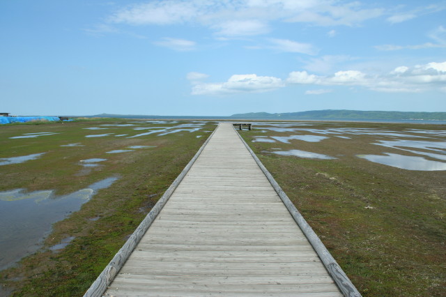 e0039744_9561925.jpg