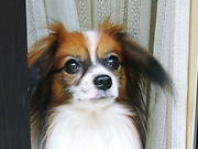 e0100046_21571093.jpg