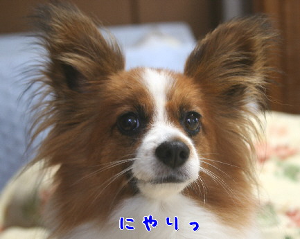 d0013149_17736.jpg