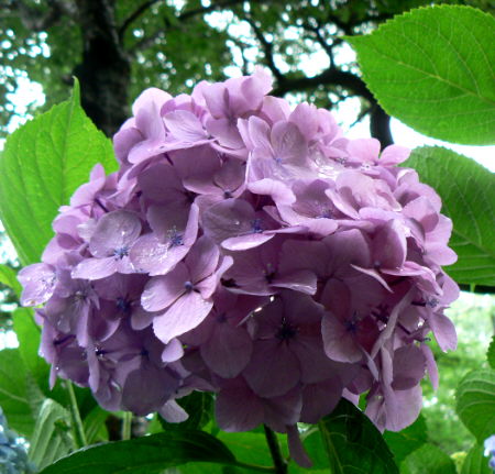 d0091754_20115356.jpg