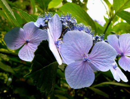 d0091754_2082030.jpg