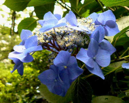 d0091754_2084717.jpg