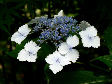 d0091754_2091983.jpg