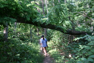 f0082561_20442448.jpg
