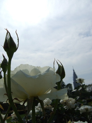 d0102664_2323083.jpg