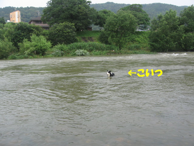 e0117976_11333637.jpg