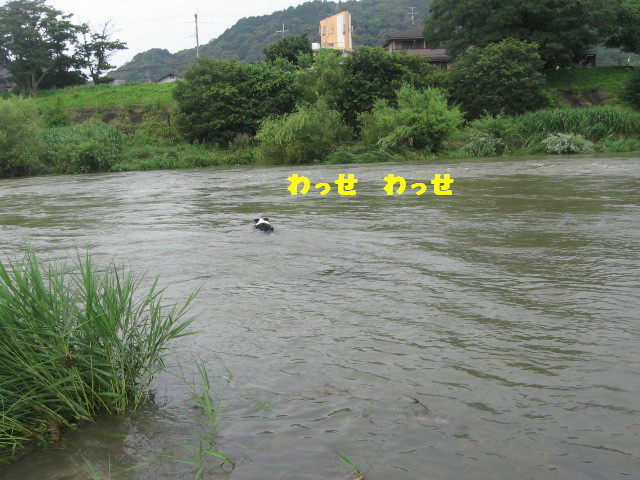 e0117976_11344734.jpg