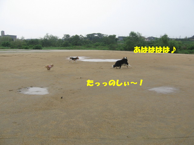 e0117976_1139389.jpg
