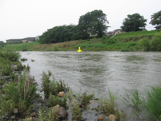 e0117976_11422899.jpg