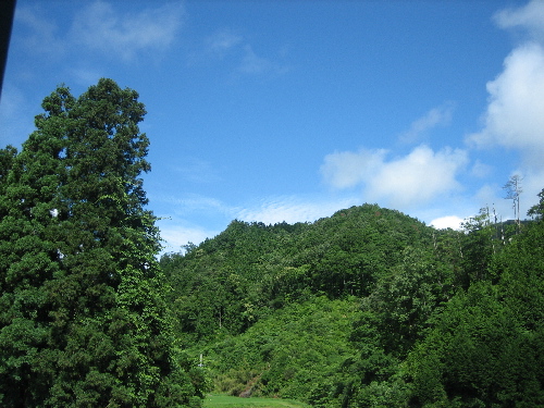 d0116578_12152270.jpg