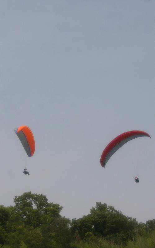 e0024081_19273737.jpg