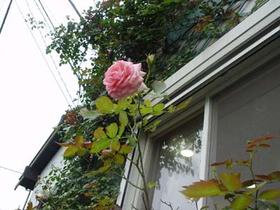 e0008586_23503283.jpg