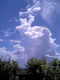 c0068090_9484139.jpg