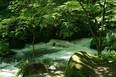 d0025894_059136.jpg