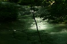 d0025894_1353629.jpg