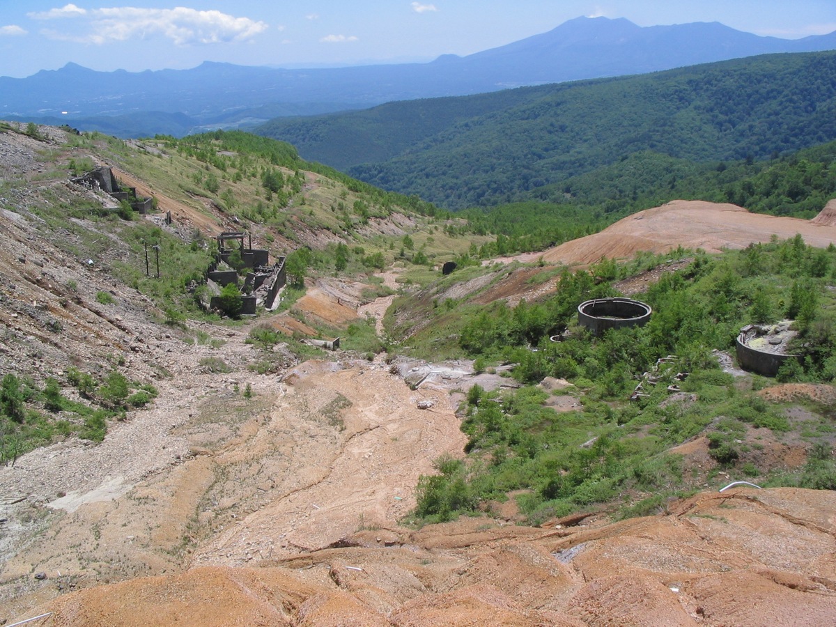 d0049594_2246111.jpg