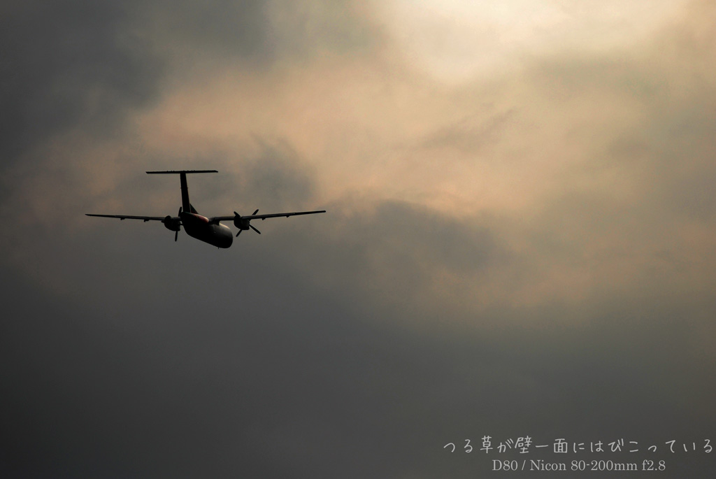 a0062697_2375545.jpg