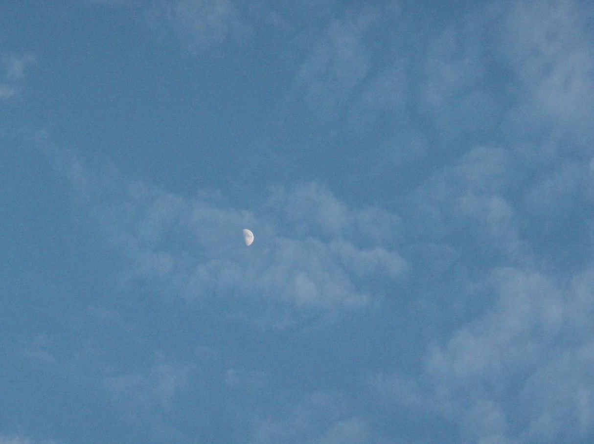 d0051106_23454333.jpg