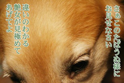 e0072606_189231.jpg