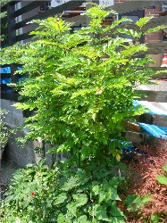 c0098813_1348642.jpg