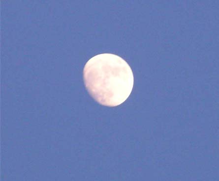 f0128723_22503186.jpg