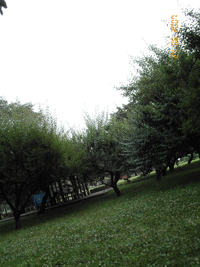d0002224_22532877.gif