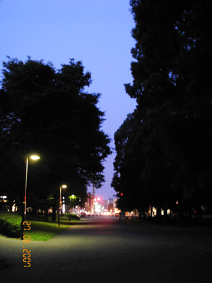 d0002224_23122955.gif