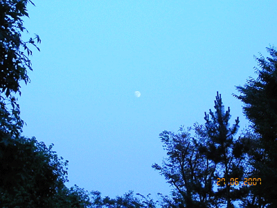 d0002224_2364349.gif