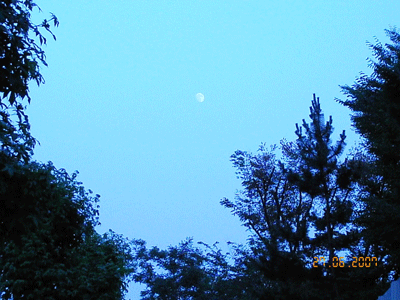 d0002224_2394856.gif