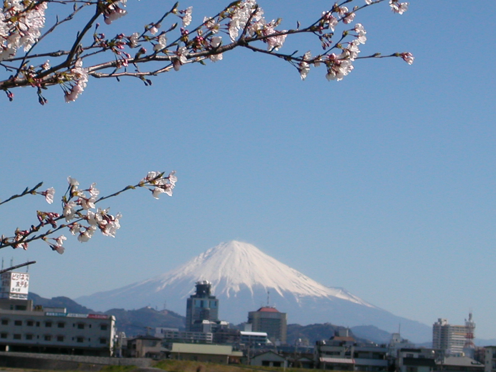 e0033229_21113759.jpg