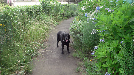 e0044635_12393976.jpg
