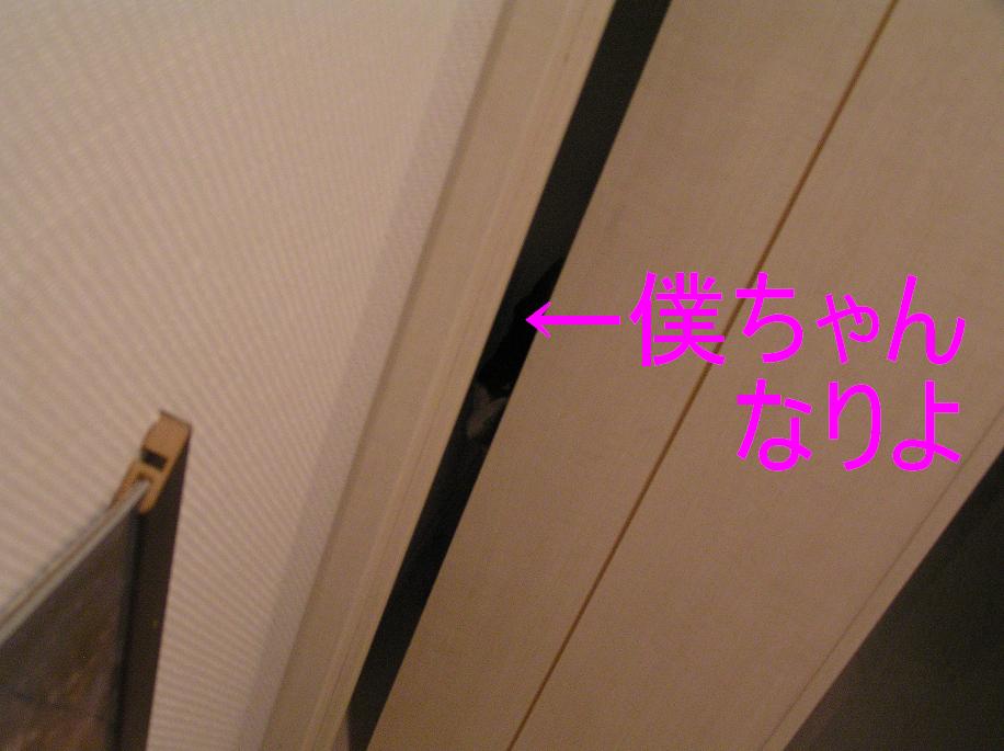 c0106039_22424713.jpg