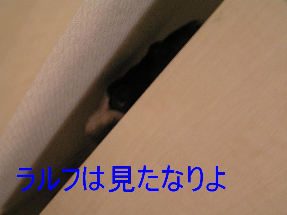 c0106039_22425828.jpg