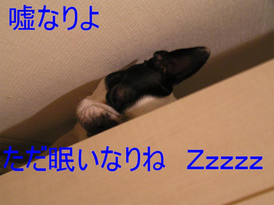 c0106039_22462459.jpg