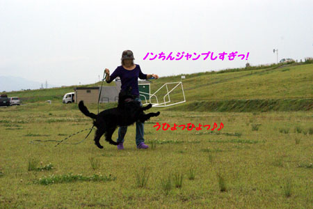 f0018144_1065171.jpg