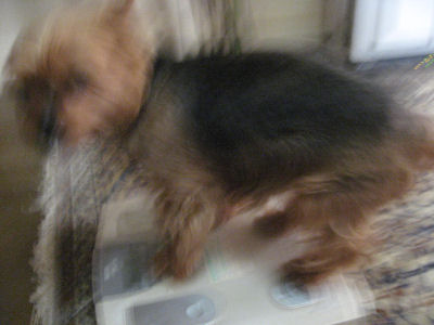 c0033145_2361682.jpg