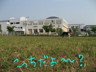 e0126046_014575.jpg